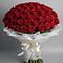 Букет 101 Красная роза Блэк Мэджик в Поливаново