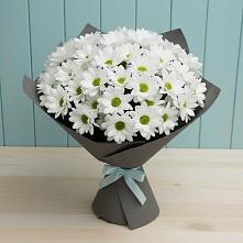 Букет цветов из:  Хризантемы #REPLACE_PRED# Поливаново