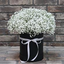 Цветочная композиция из Гипсофила в шляпной коробке в Поливаново
