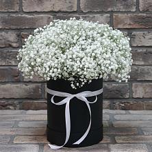 Цветочная композиция из Гипсофила в шляпной коробке в Поливаново